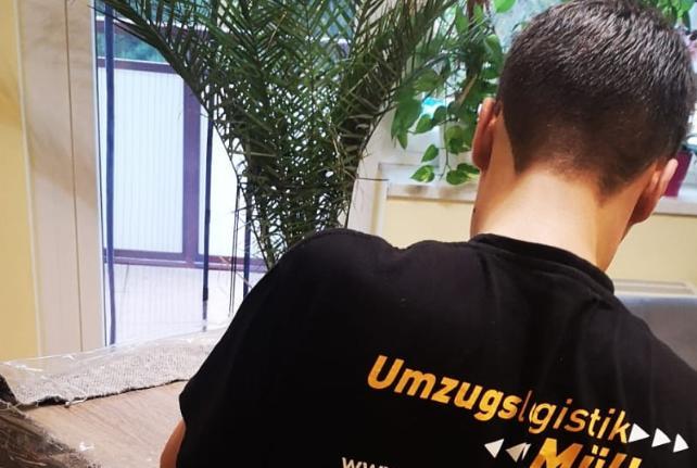 Laborumzug Vierkirchen stressfrei umziehen 